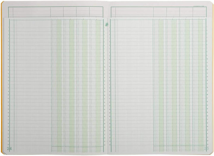 Exacompta 17040E Mehrkolonnenheft (DIN A4, 21 x 29,7 cm, gebunden mit 4 spalten auf 1 Seite und 34 Z