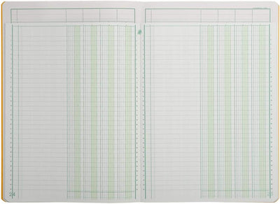 Exacompta 17040E Mehrkolonnenheft (DIN A4, 21 x 29,7 cm, gebunden mit 4 spalten auf 1 Seite und 34 Z