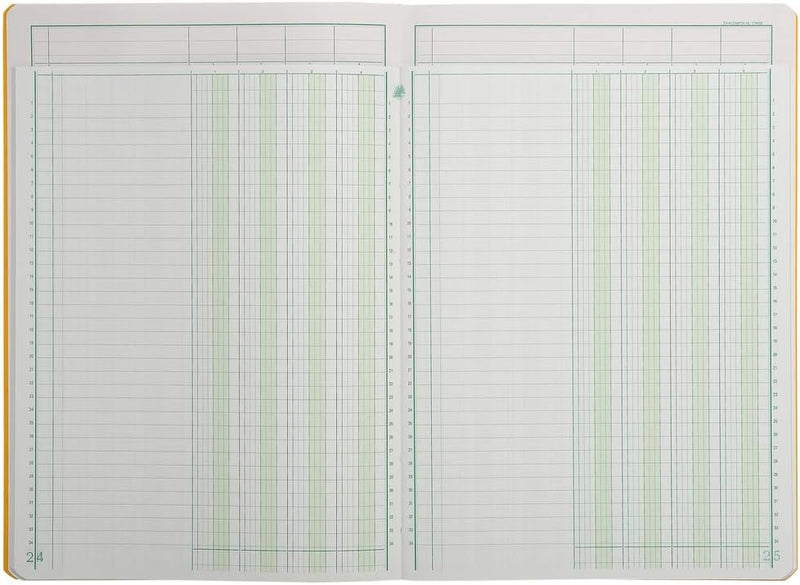 Exacompta 17040E Mehrkolonnenheft (DIN A4, 21 x 29,7 cm, gebunden mit 4 spalten auf 1 Seite und 34 Z