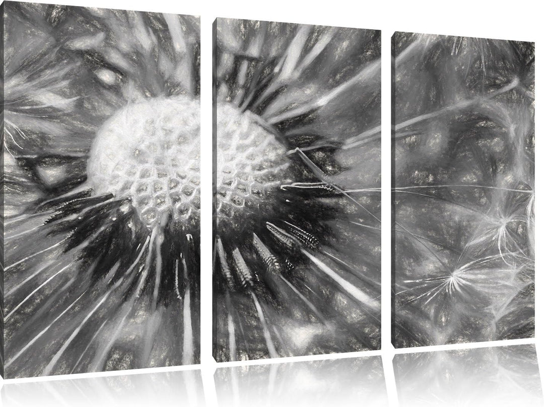 Pixxprint Pusteblume als Leinwandbild/Grösse: 3 Teilig (120x80) cm/Wandbild/Kunstdruck/fertig bespan