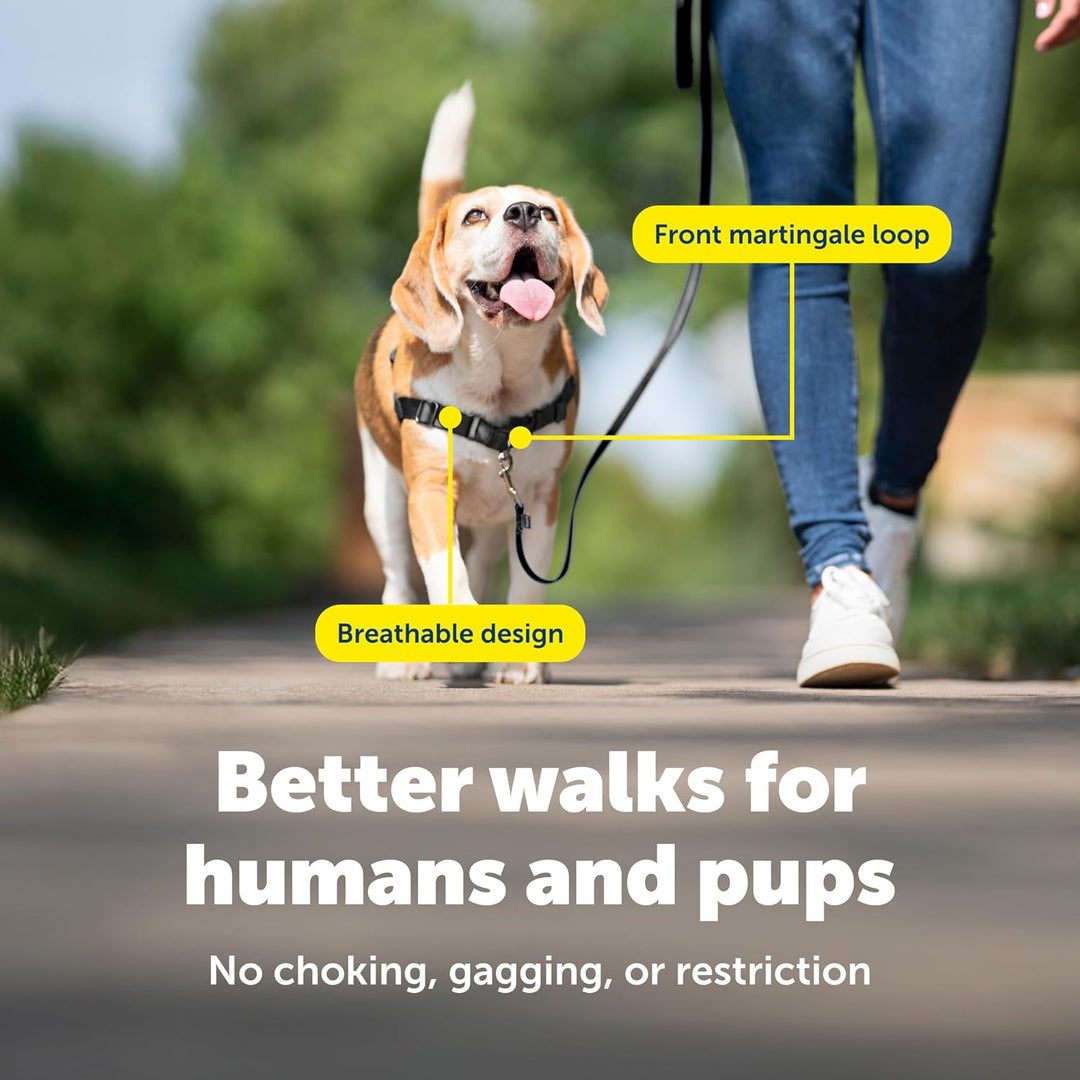PetSafe Easy Walk Hundegeschirr. Himbeere/Grau Small/Medium, Himbeere/Grau Small/Medium
