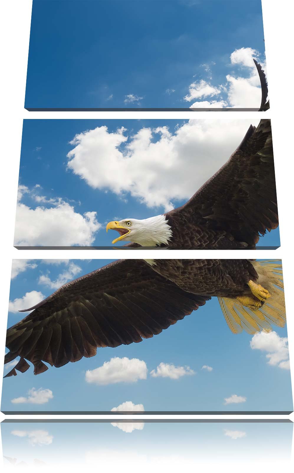 Pixxprint Adler fliegt über Schneebedeckte Berge 3-Teiler Leinwandbild 120x80 Bild auf Leinwand