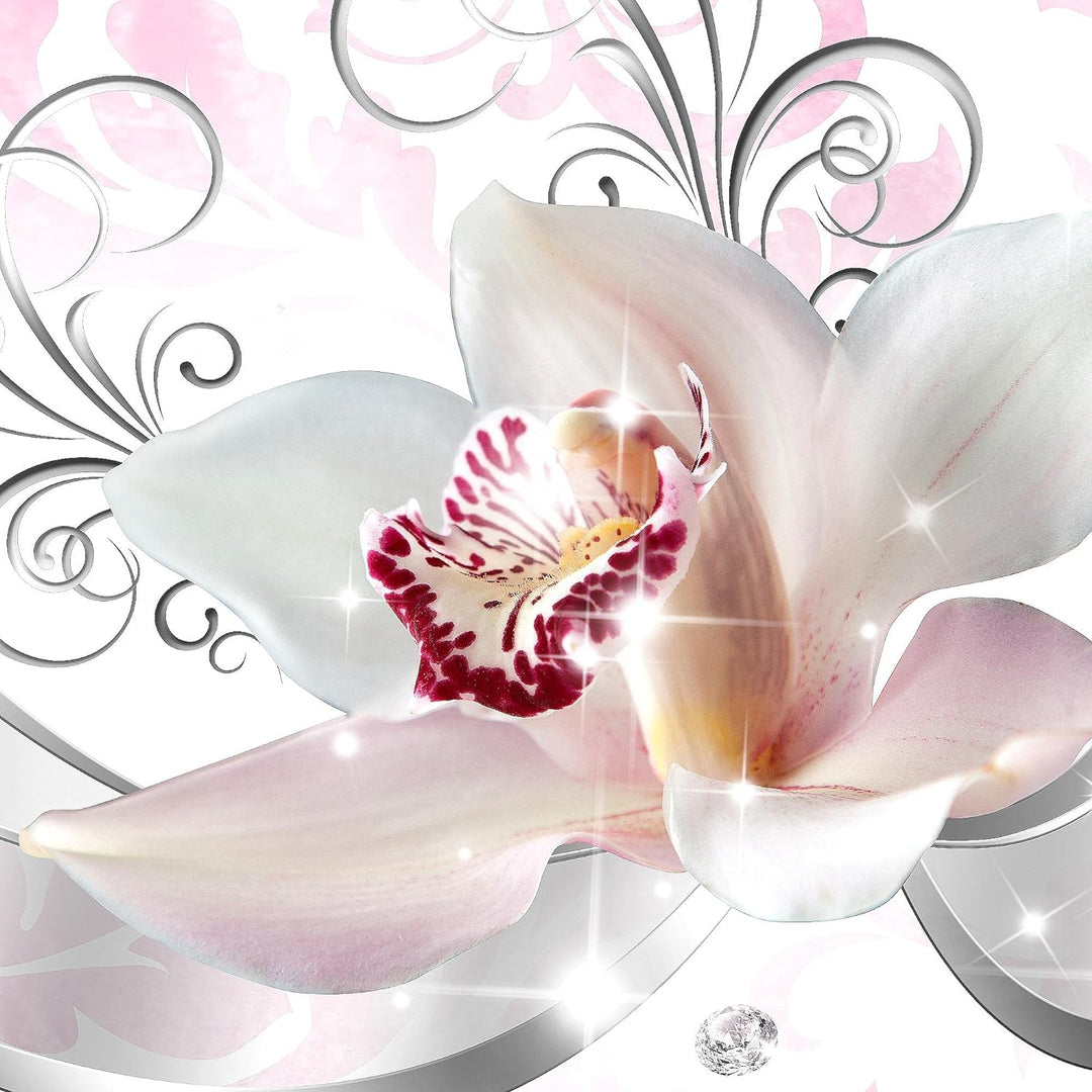 Runa Art Wandbilder Blumen Orchidee 5 Teilig Bild auf Vlies Leinwand Deko Wohnzimmer Blumenmotiv Gra
