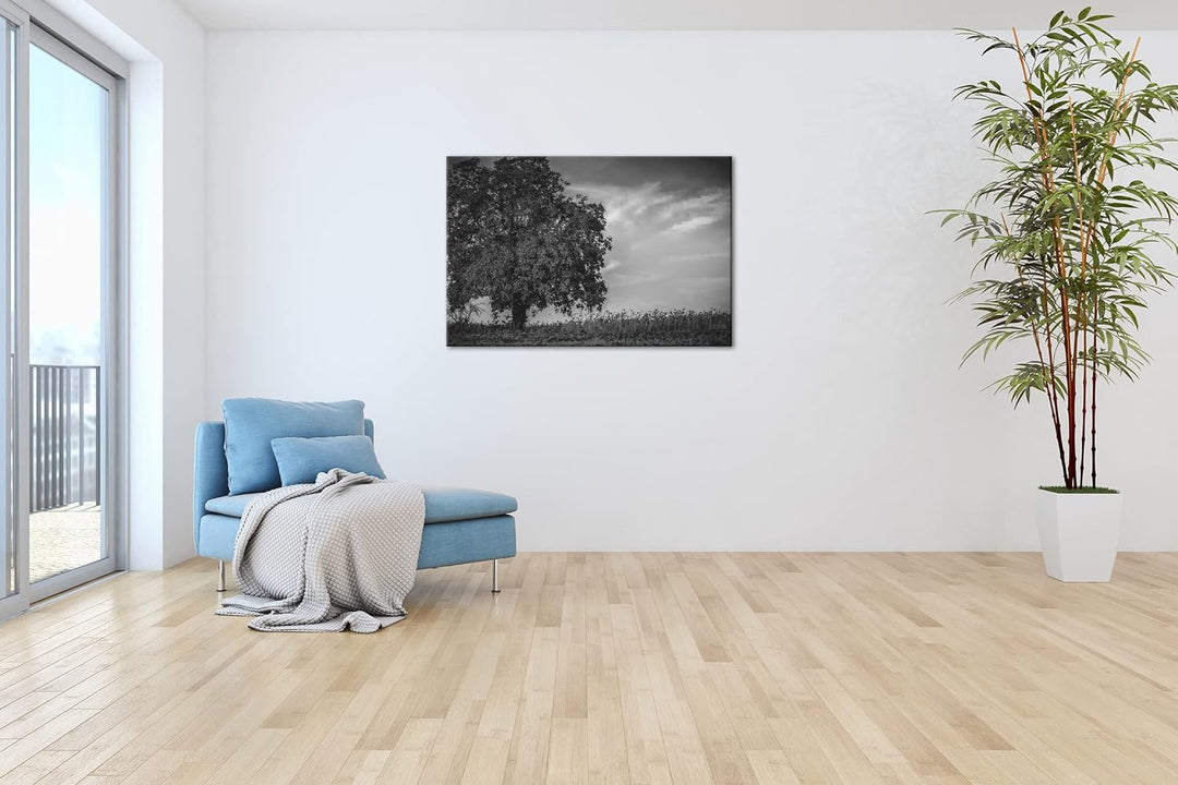 deyoli Herbstliche Landschaft Format: 80x60 als Leinwand, Effekt: Schwarz&Weiss, Motiv fertig gerahm
