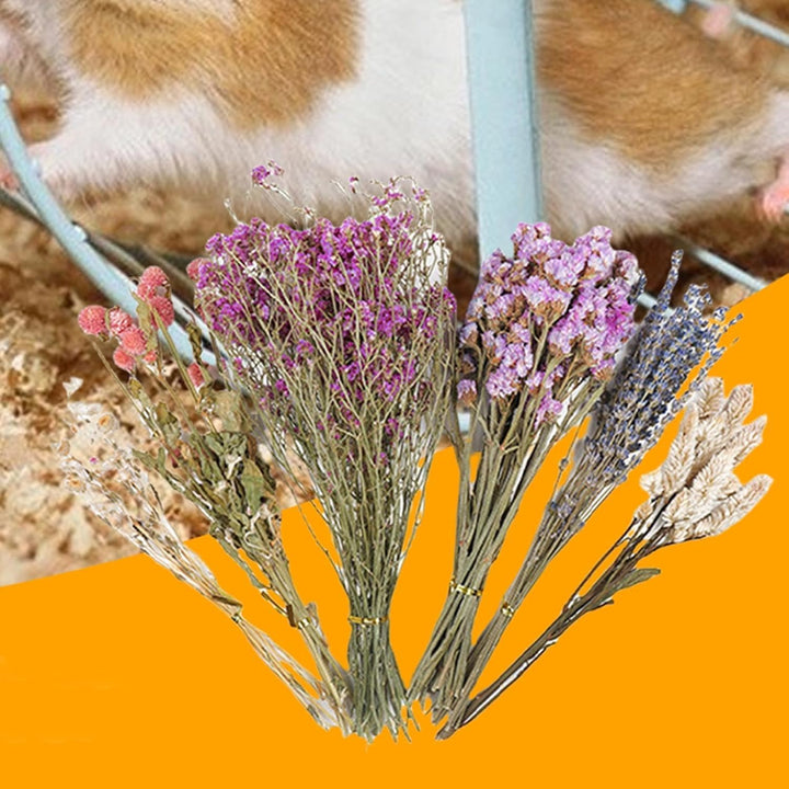Hamster-Heublumen-Einstreu, Bettwäsche für Blumen Hamster, Hamster-Blumen Bettwäsche, Hamster-Heublu