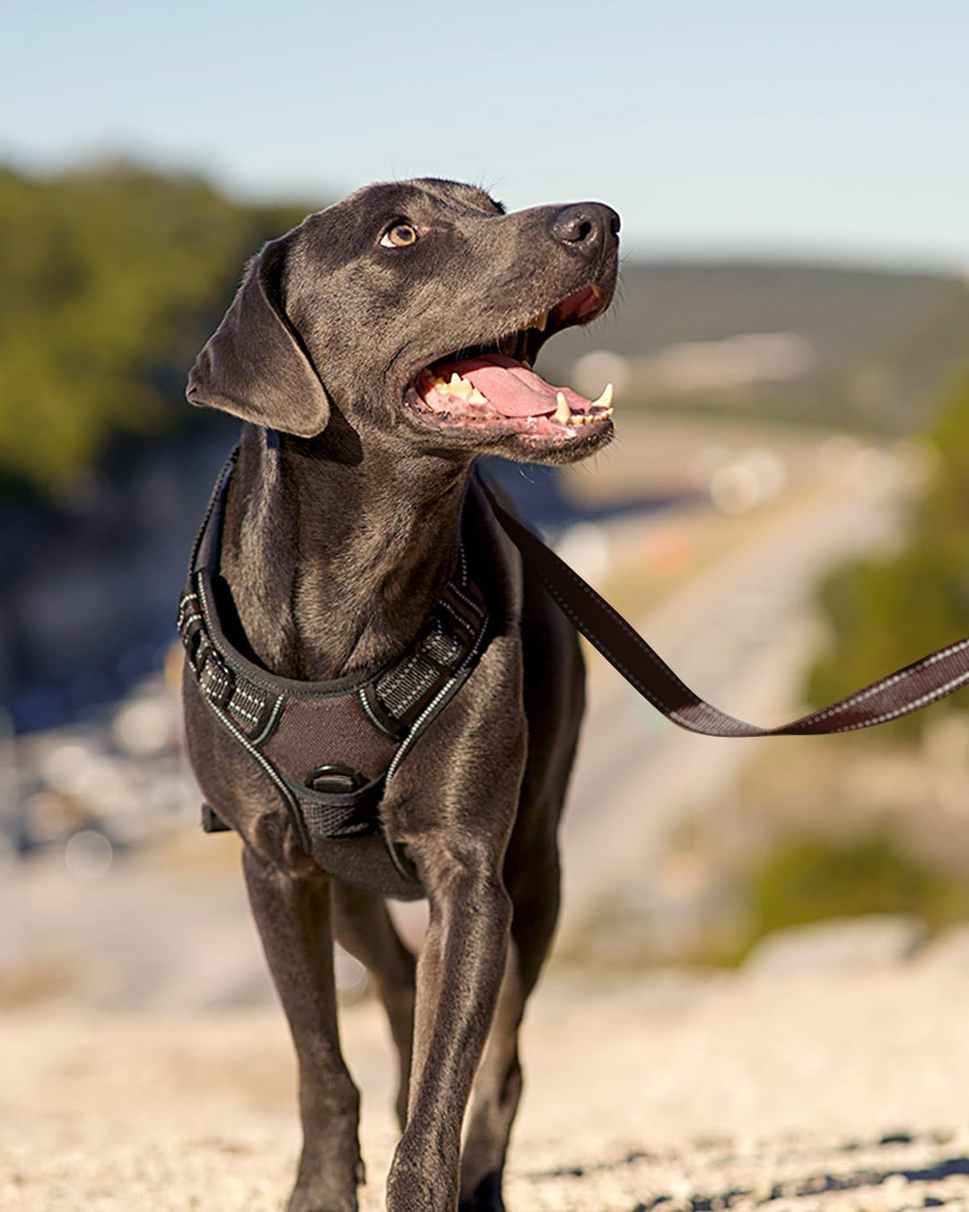 Joytale Anti-Zug Hundegeschirr für grosse Hunde, Braun, L | Perfekter Sitz, gepolstert &amp; reflektiere