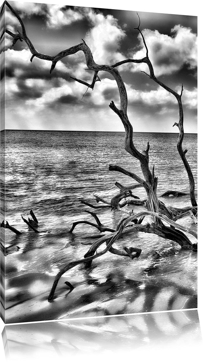 Pixxprint Monocrome, Strand Meer Havanna Kuba, Format: 100x70 auf Leinwand, 100x70