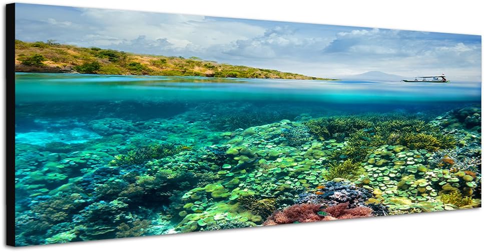 Paul Sinus Art Panoramabild auf Leinwand und Keilrahmen 150x50cm Meer Korallenriff Boot Vulkan Wolke