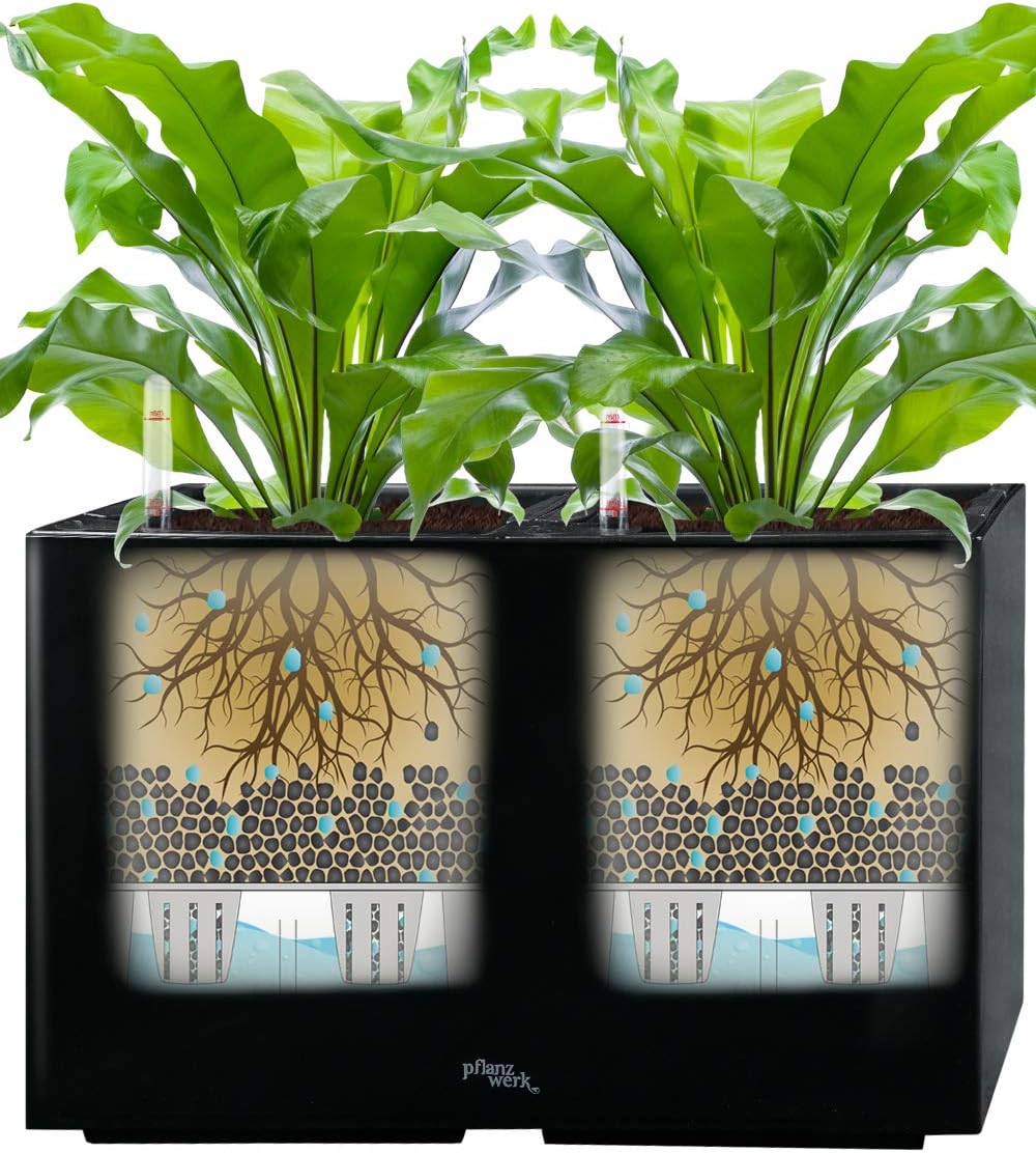 Pflanzwerk® ÖKOSYSTEM Pflanzkübel TUB - Blumentöpfe Übertöpfe mit BEWÄSSERUNGSSYSTEM - 32x56x28cm Sh