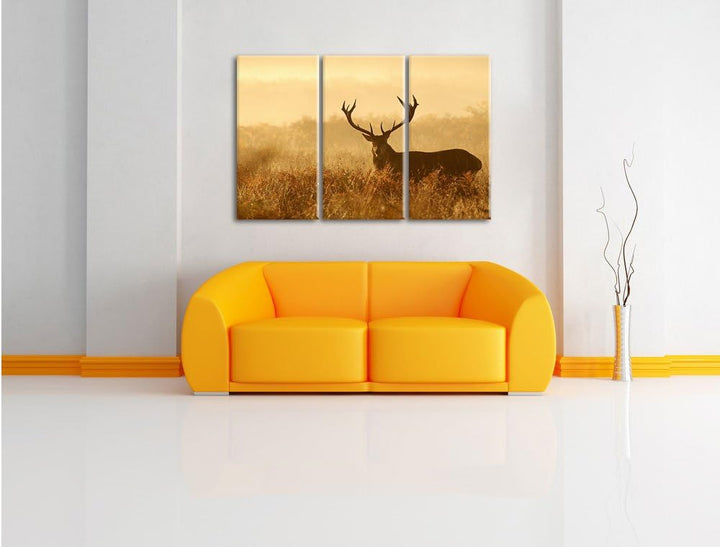 Pixxprint Rotwild Hirsch in Abenddämmerung 3-Teiler Leinwandbild 120x80 Bild auf Leinwand