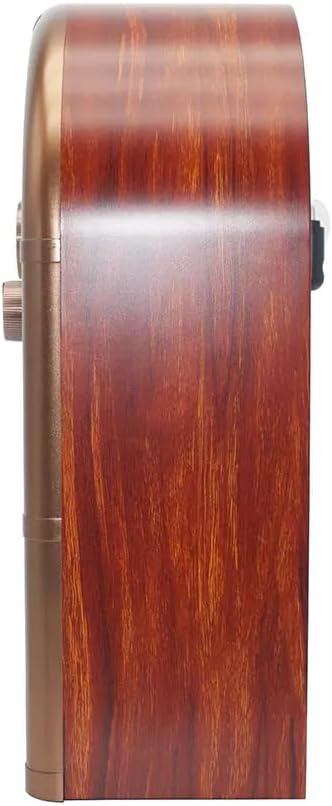 Retropolis New Orleans – Retro Radio mit Bluetooth 5.0, Tragbares Radio FM/AM/SW, 1200mAh Akku, USB/