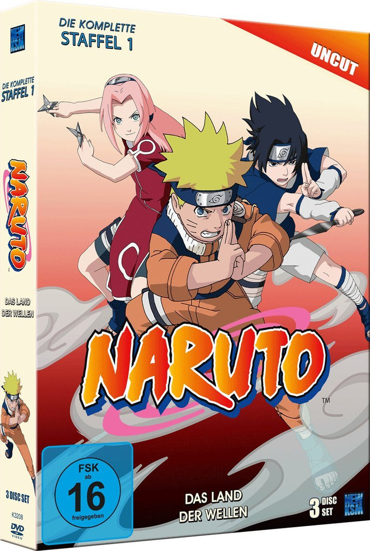 Naruto - Staffel 1: Das Land der Wellen (Episoden 1-19, uncut) [3 DVDs], DVD