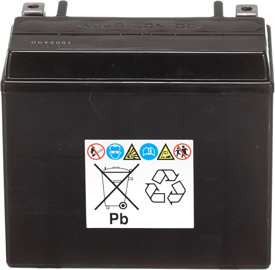 Yuasa YTX12-BS (WC) wartungsfreie Batterie