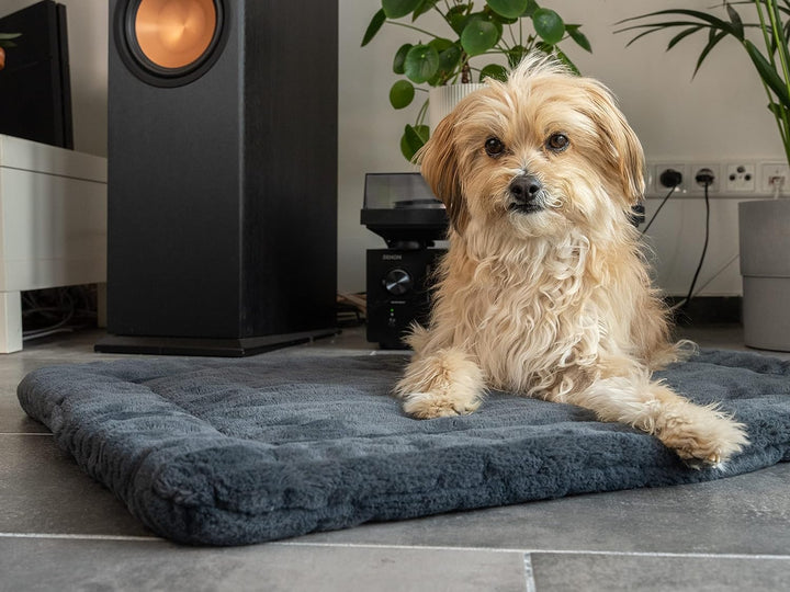 TrendPet Harmony 4cm gefütterte Hundedecke, Katzendecke, Liegedecke für Hunde und Katzen (Anthrazit,