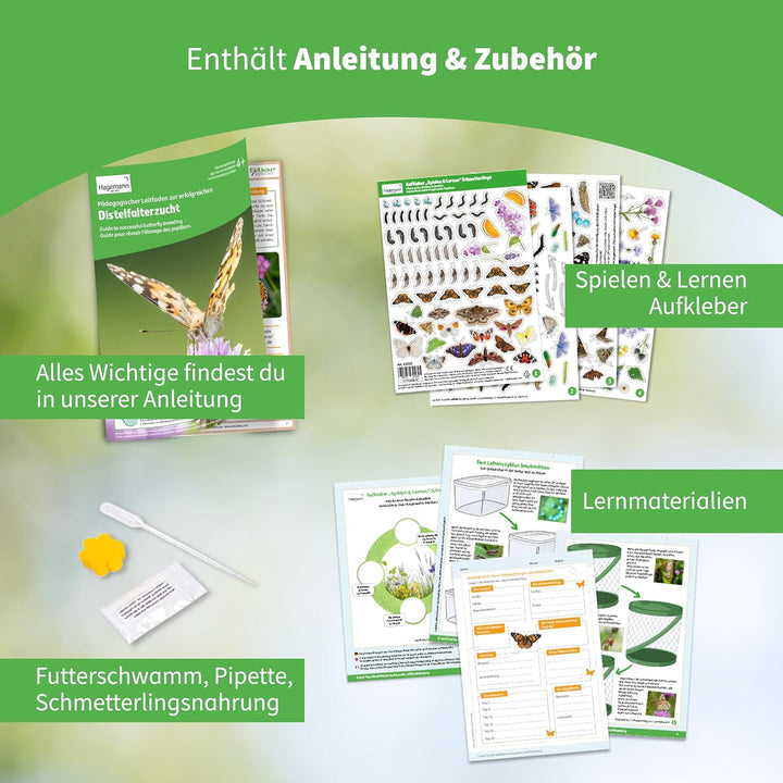 Hagemann Schmetterlingsgarten – Schmetterlinge züchten Set mit 5–7 Distelfalter Raupen | Natur Exper