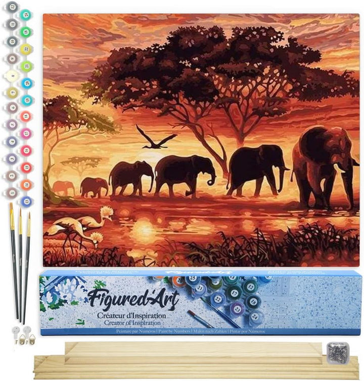 Figured'Art Malen Nach Zahlen Erwachsene Mit Rahmen Elefanten bei Sonnenuntergang - Paint by Numbers