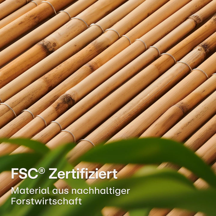 Praknu Schilf Balkon Sichtschutz Holz 100 x 300cm - FSC® Zertifiziertes Natürliches Schilf - Einsetz