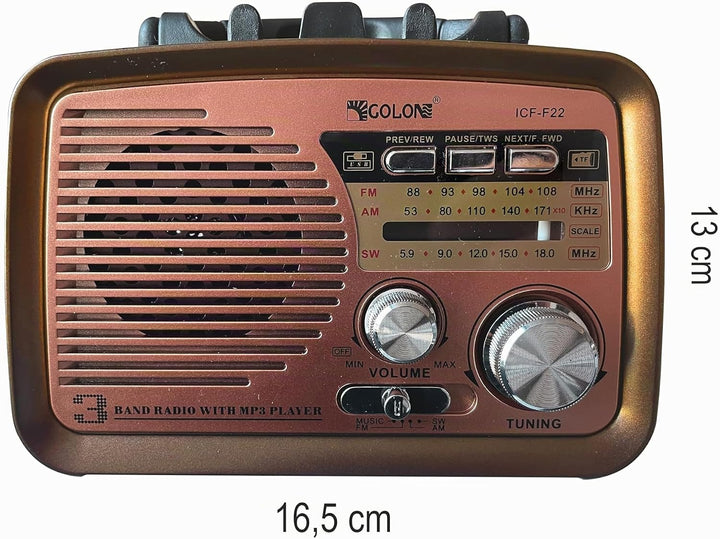 Retoo Radio Bluetooth FM Retro Nostalgie Kofferradio Gehäuse in Holzoptik Vintage Radio Kompaktanlag