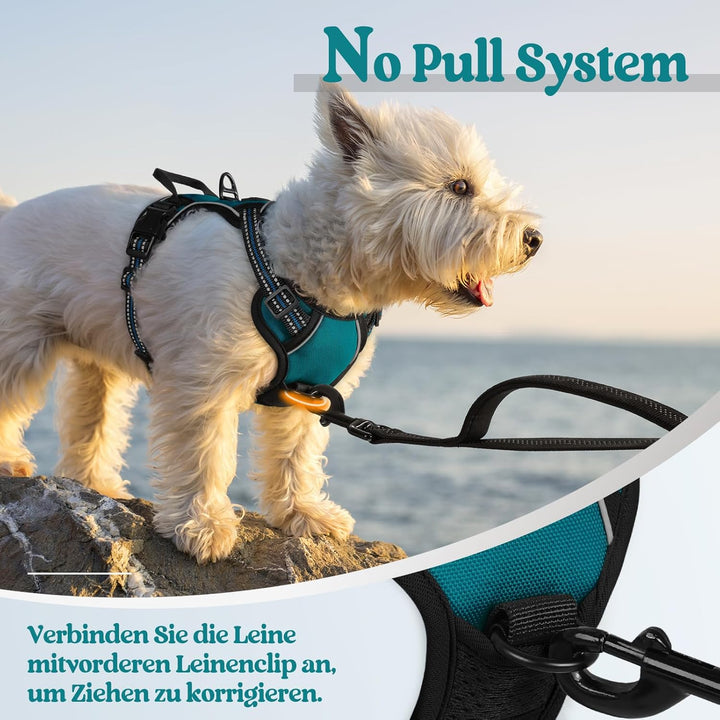 rabbitgoo Hundegeschirr Kleine Hunde, Anti Zug Geschirr mit Kontrolle, No Pull Verstellbar Hundegesc