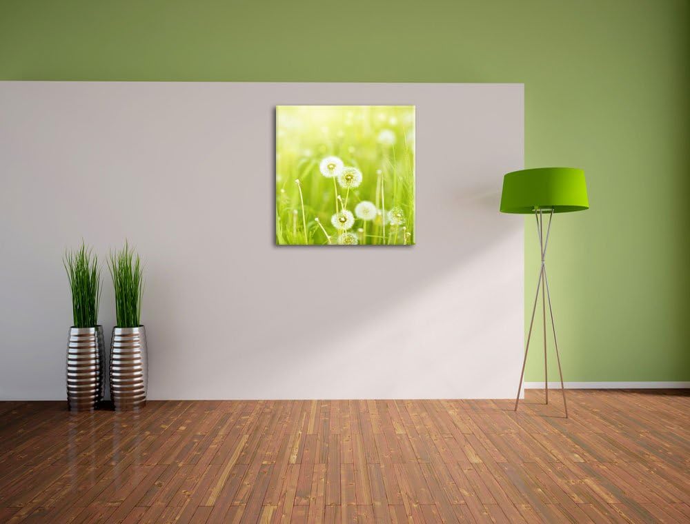 Pixxprint Pusteblumen auf Frühlingswiese als Leinwandbild | Grösse: 70x70 cm | Wandbild| Kunstdruck