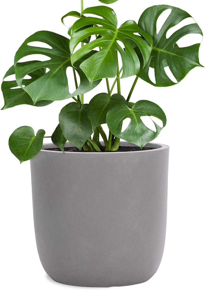 Pflanzwerk® Pflanzkübel Cup - Blumentöpfe Übertöpfe 27cm Ø GRAU *Frostbeständige Blumenkübel* *UV-Sc