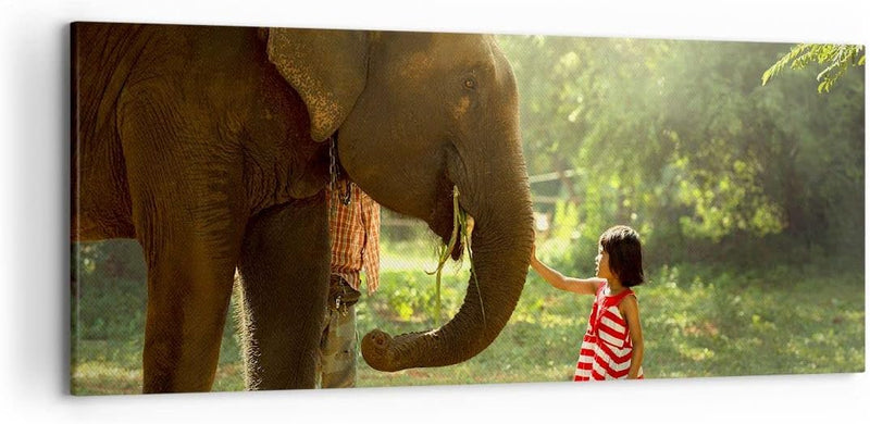 Wandbilder Dekoration Wohnzimmer Elefant Tier Panorama Bilder auf Leinwand 120x50cm Leinwandbild mit