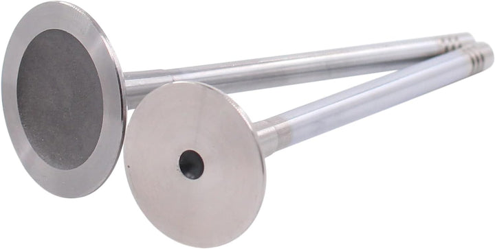Einlassventil Auslassventil Motorventile Ventile für A1 A3 A4 A5 A6 A7 A8 Q3 Q5 R8 TT für Multivan f