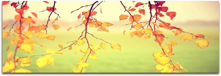 Augenblicke Wandbilder Keilrahmenbild Wandbild 150x50cm Blätter Äste Herbst bunt