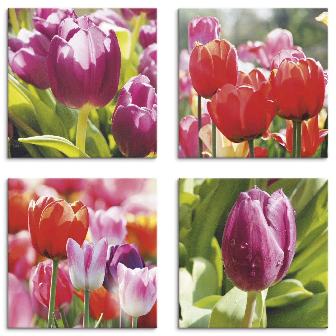 ARTLAND Leinwandbilder auf Holz Wandbild Bild Set 4 teilig je 40x40 cm Quadratisch Natur Blumen Tulp