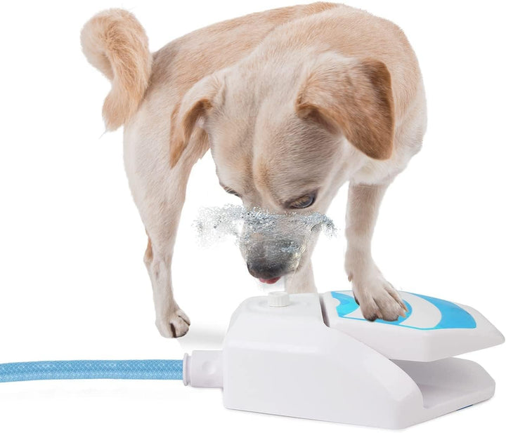ALL FOR PAWS Hunde Trinkbrunnen Outdoor - Automatischer Wasserspender mit Sprinkler für Hunde, Hydra