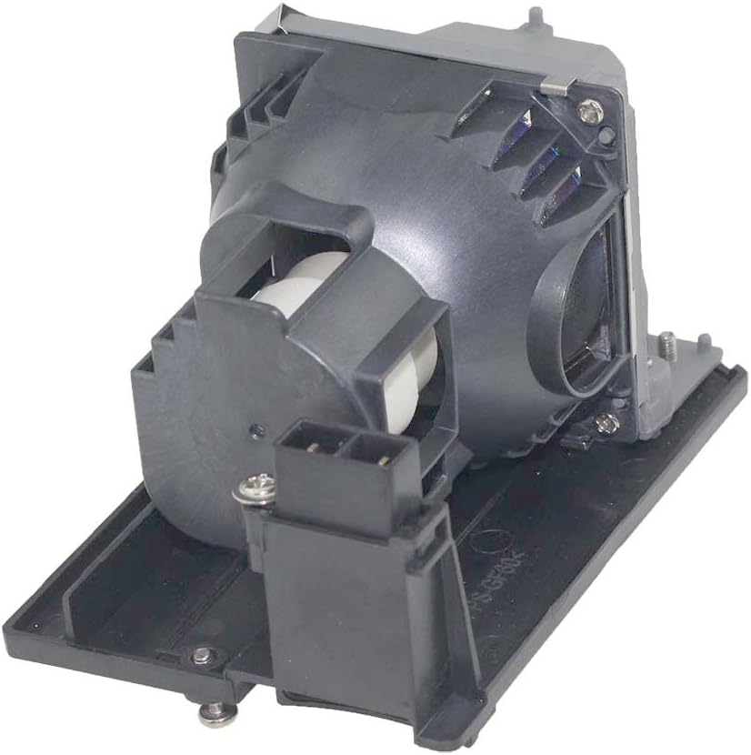 Huaute NP13LP Ersatz-Projektorlampe für NEC NP110 NP115 NP210 NP215 NP216 NP115G3D V230X V260W V260X