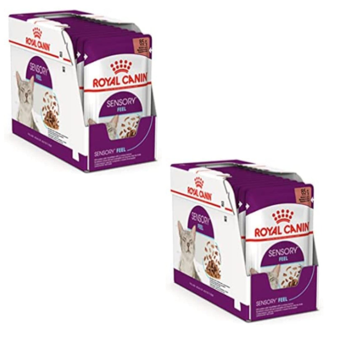 Royal Canin Sensory Feel Jelly | Doppelpack | 2 x 12 x 85 g | Nassfutter für ausgewachsene Katzen |