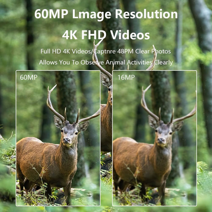 LMHOME Wildkamera, 60 MP 4K Video Wildkamera mit 2.0" LCD-Bildschirm, Wildkamera mit Bewegungsmelder