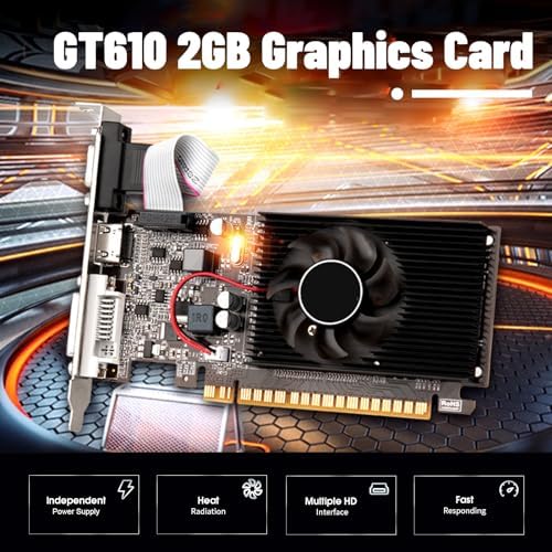 Bewinner GT610 Grafikkarte, 2 GB, DDR3, 64 Bit, HDMI DVI VGA Desktop Grafikkarte, PCI Express X16 Co