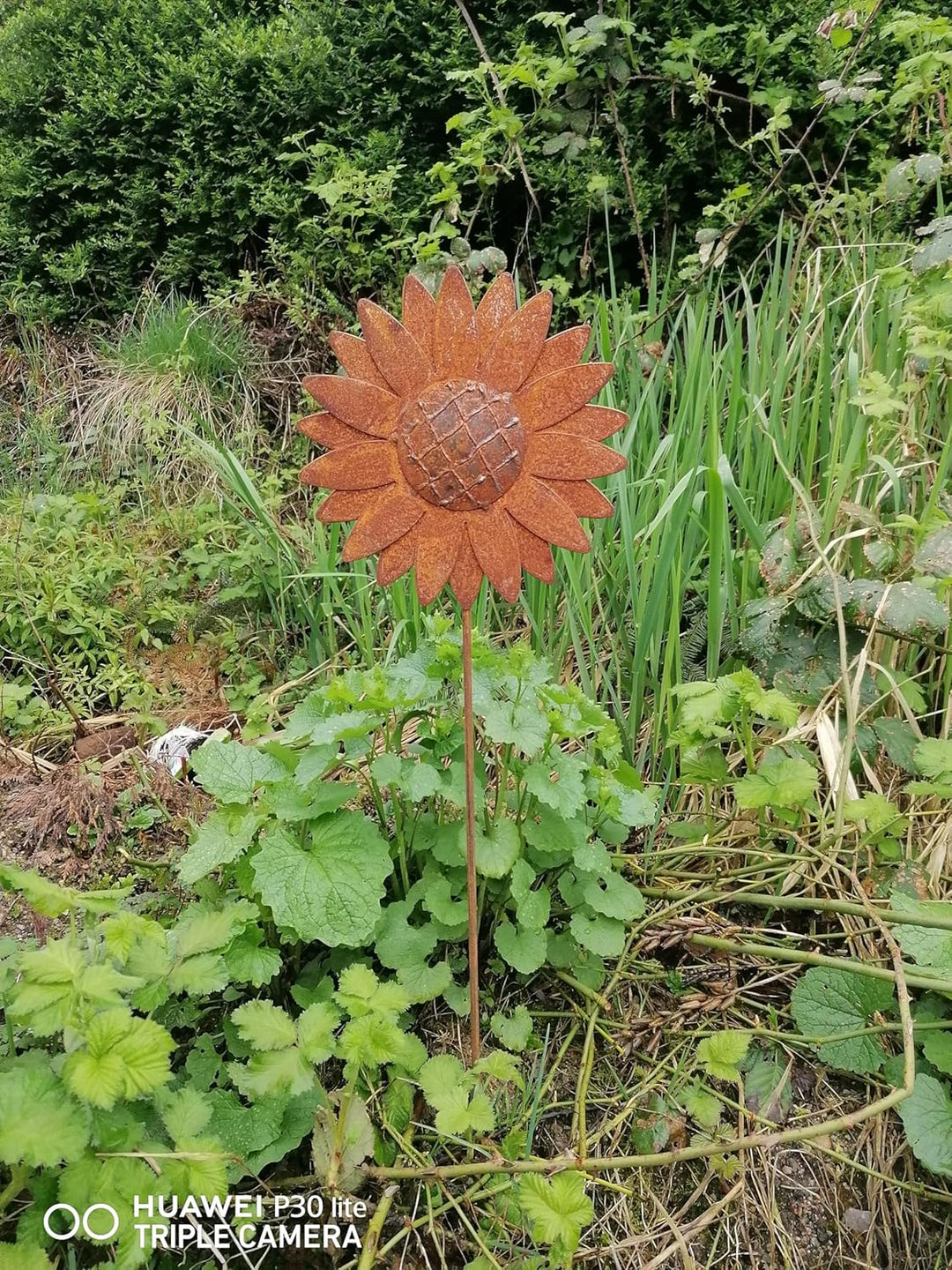 NEU !! Gartenstecker Sonnenblume 80 cm lang aus Metall in Edelrost Rost Dekoration Volleisen Rankhil