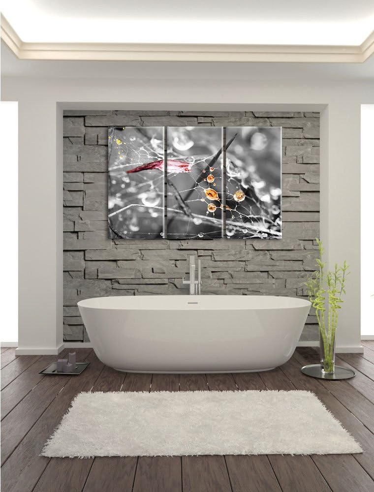 Pixxprint Spinnennetz mit Wassertropfen B&W Detail 3-Teiler Leinwandbild 120x80 Bild auf Leinwand