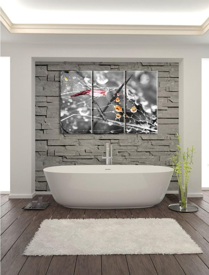 Pixxprint Spinnennetz mit Wassertropfen B&W Detail 3-Teiler Leinwandbild 120x80 Bild auf Leinwand
