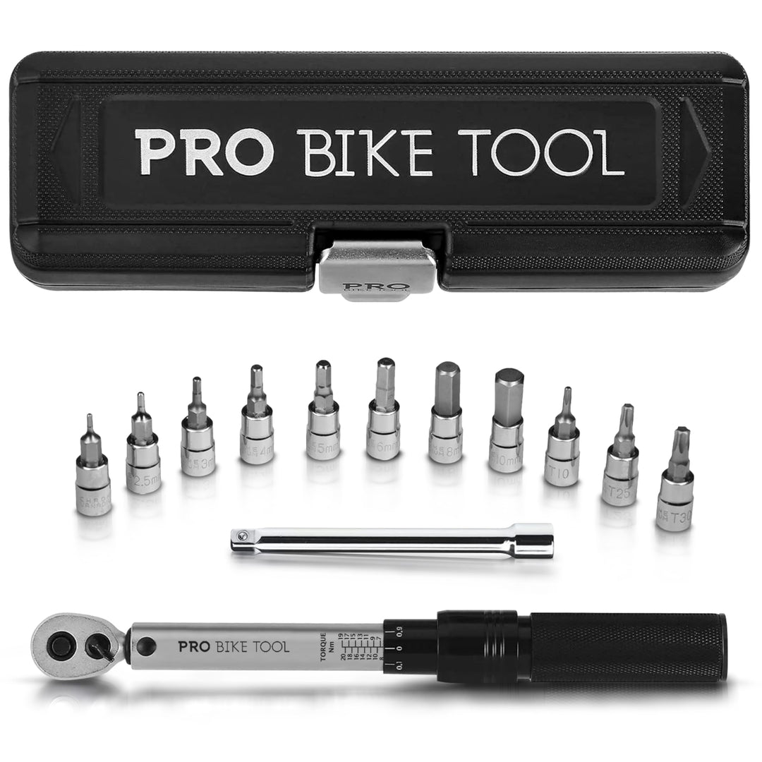 PRO BIKE TOOL Drehmomentschlüssel Fahrrad &amp; Motorrad 1/4 Zoll Antrieb mit Umschaltknarre und Verläng