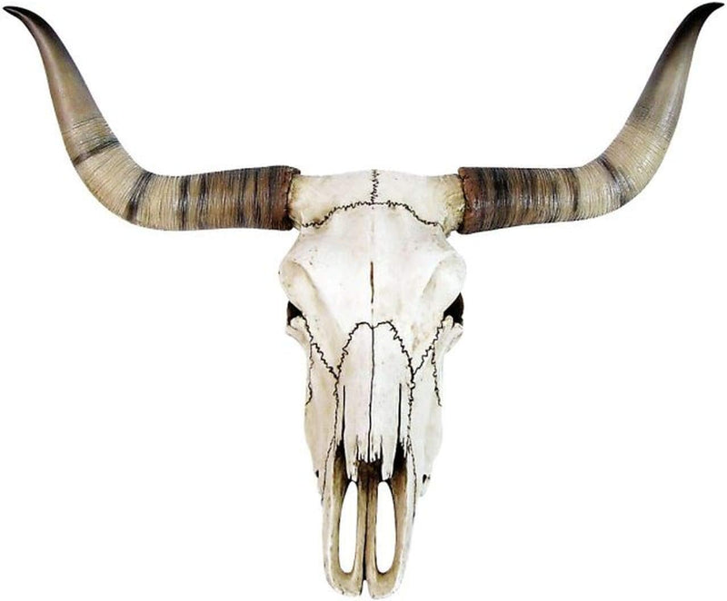 Bullenschädel Longhorn Schädel Skull Totenschädel Schädel Geweih Figur