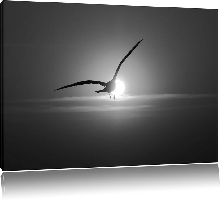 Pixxprint Möwe fliegt in den Sonnenuntergang als Leinwandbild | Grösse: 100x70 cm | Wandbild| Kunstd