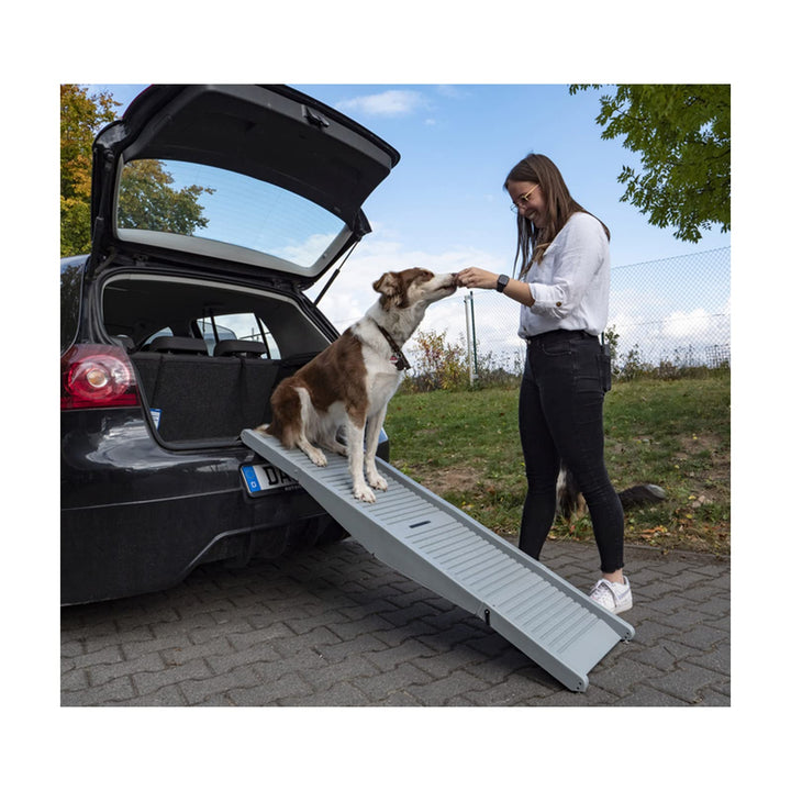 Hunderampe Emma belastbar bis 40kg Tiereinstiegshilfe für PKW Busse Vans Camping Grau