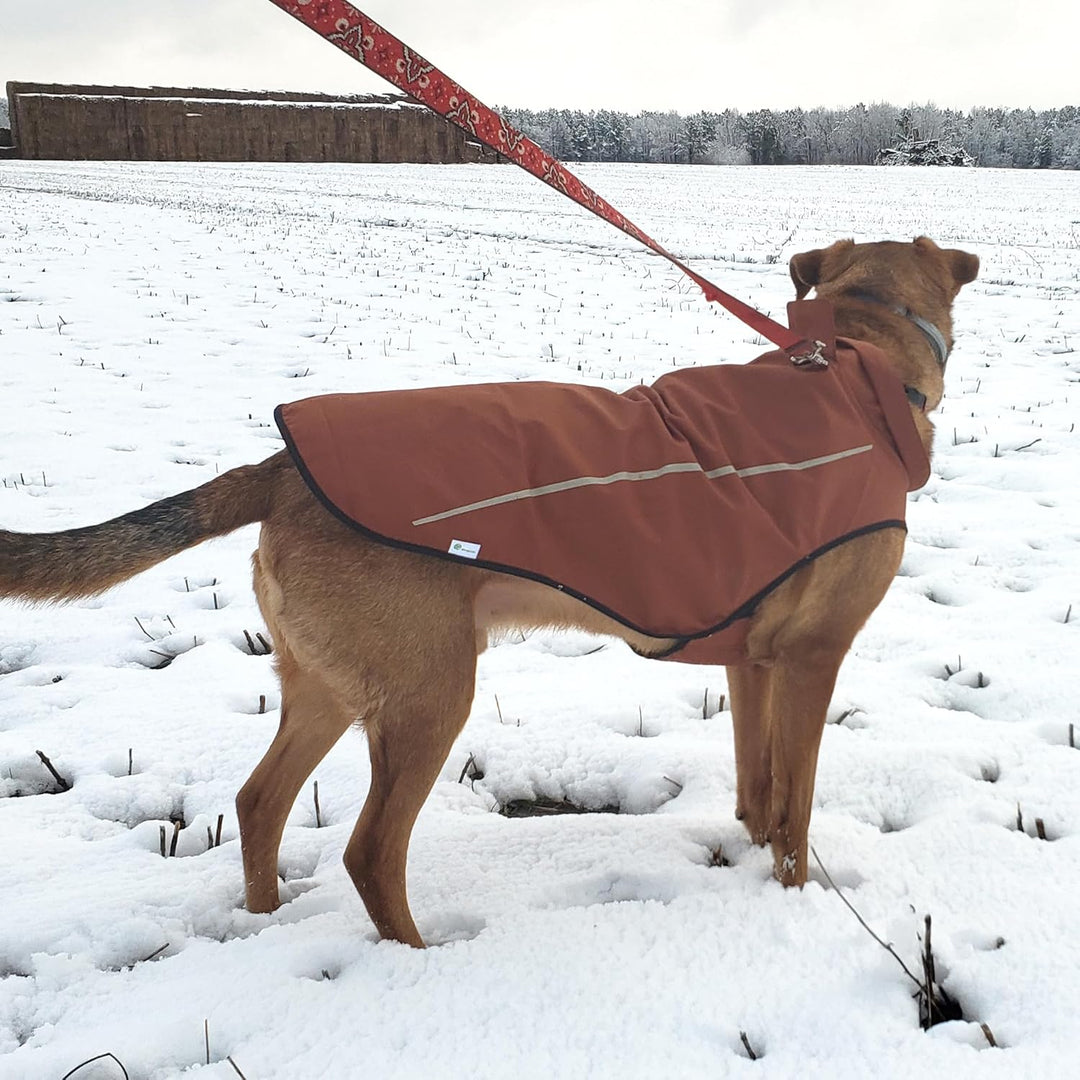 Mile High Life Hunderegenmantel Einstellbare wasserdichte Haustierkleidung Leichte Regenjacke mit re
