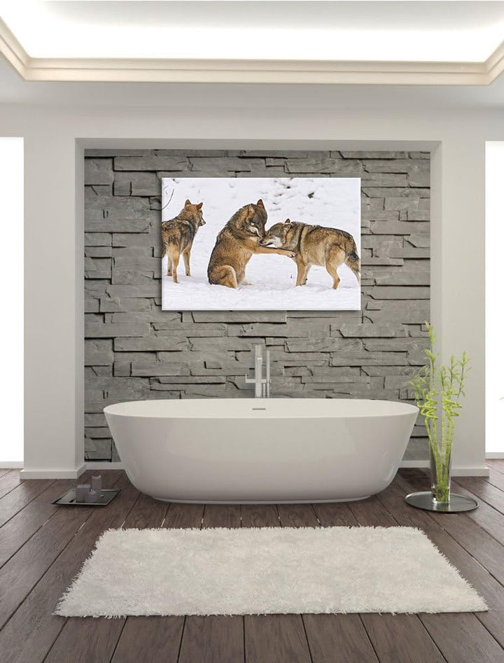 Pixxprint spielendes Wolfsrudel auf Leinwand, XXL riesige Bilder fertig gerahmt mit Keilrahmen, Kuns