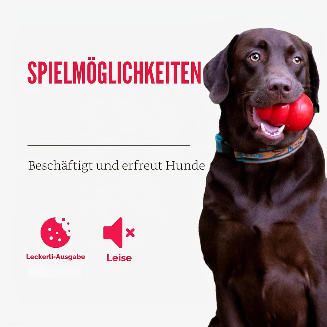 KONG – Rewards Ball – Besonders Robuster Interaktiver Leckerlispender – Für Grosse Hunde