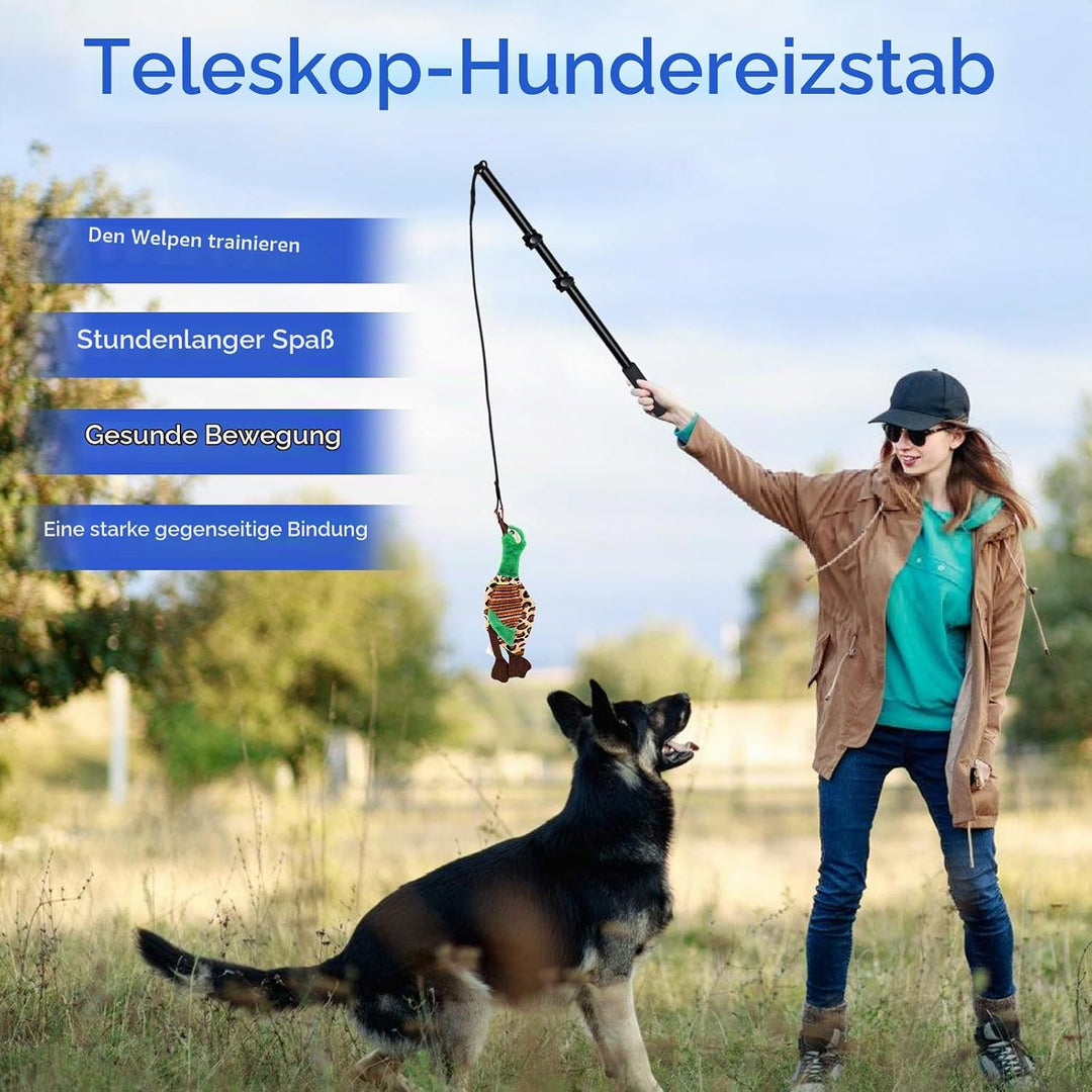 Reizangel Hunde, Profi Reizangel für Kleine Hunde Grosse Hund Längenverstellbare mit Ersatzseil, Ant