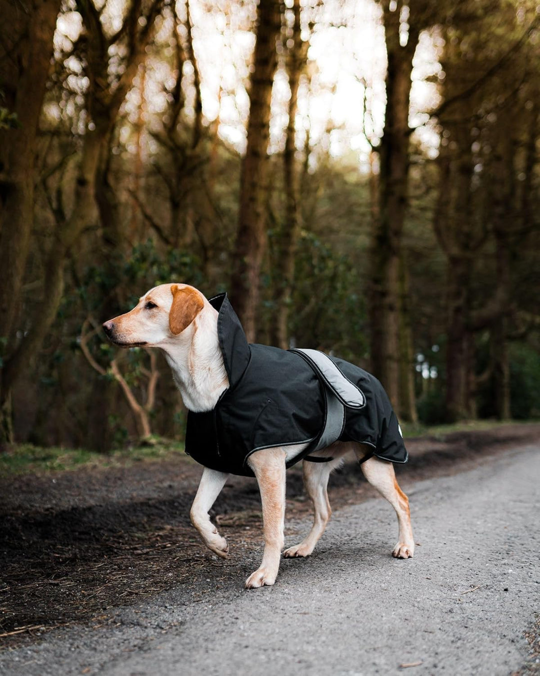 Danish Design 2-in-1-Lichtreflexionsmantel, schwarz, 55 cm (22 ") schwarz 55cm (22 Inch), schwarz 55