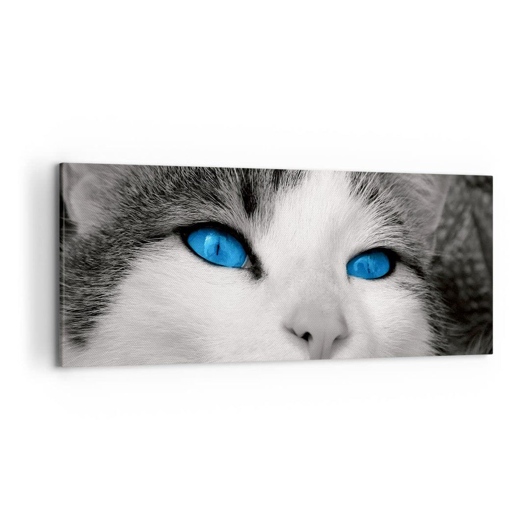 Wandbilder Dekoration Wohnzimmer Katze Tiere blaue Augen Panorama Bilder auf Leinwand 120x50cm Leinw