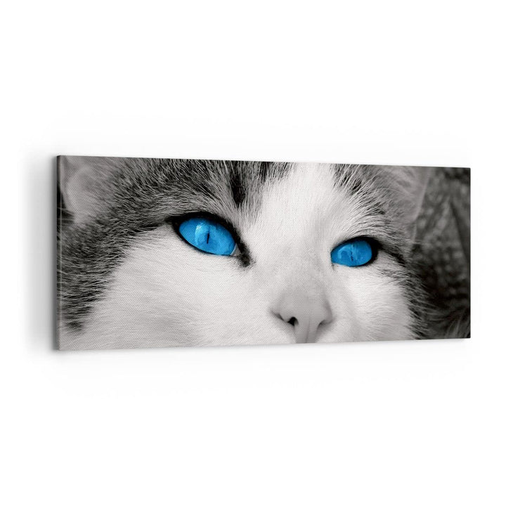Wandbilder Dekoration Wohnzimmer Katze Tiere blaue Augen Panorama Bilder auf Leinwand 120x50cm Leinw
