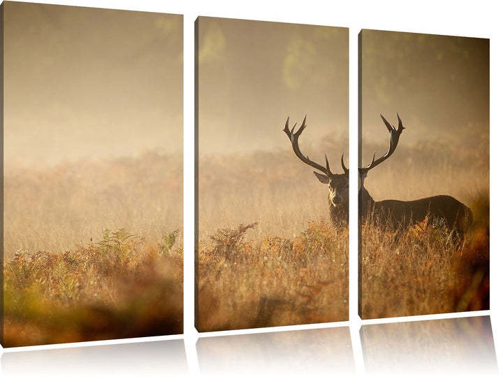 Pixxprint Rotwild Hirsch im Nebel als Leinwandbild | Grösse: 3 Teilig (120x80) | Wandbild| Kunstdruc
