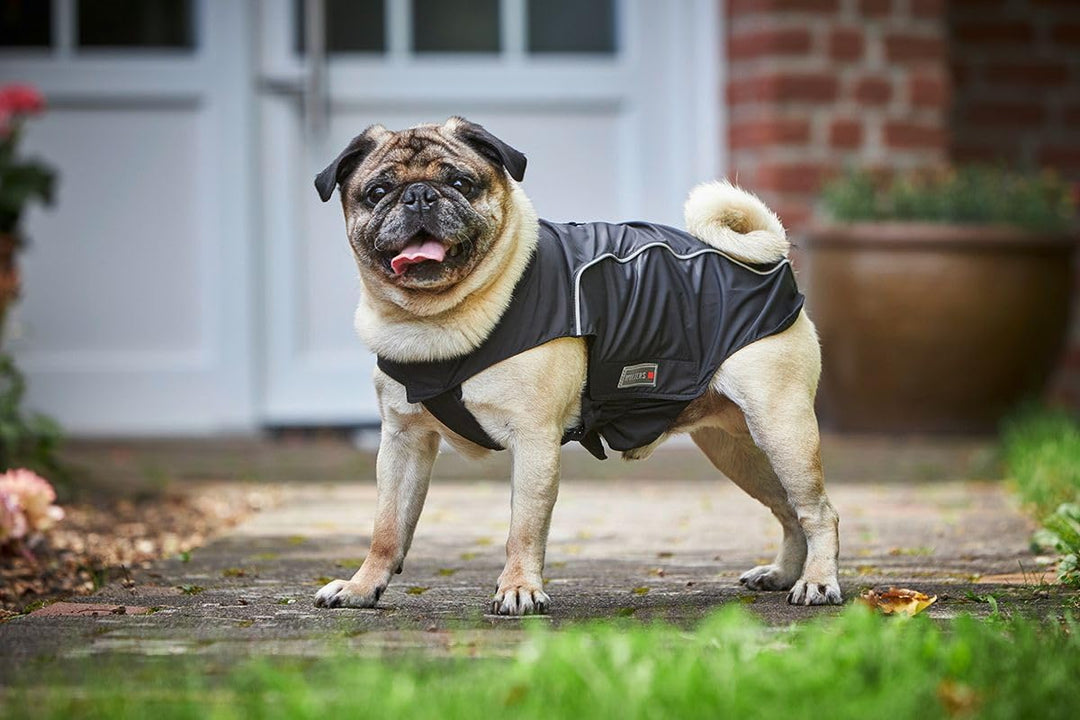 Wolters | Regenjacke Easy Rain für Mops&amp;Co. schwarz/schwarz | Rückenlänge 32 cm 32 cm schwarz/schwar